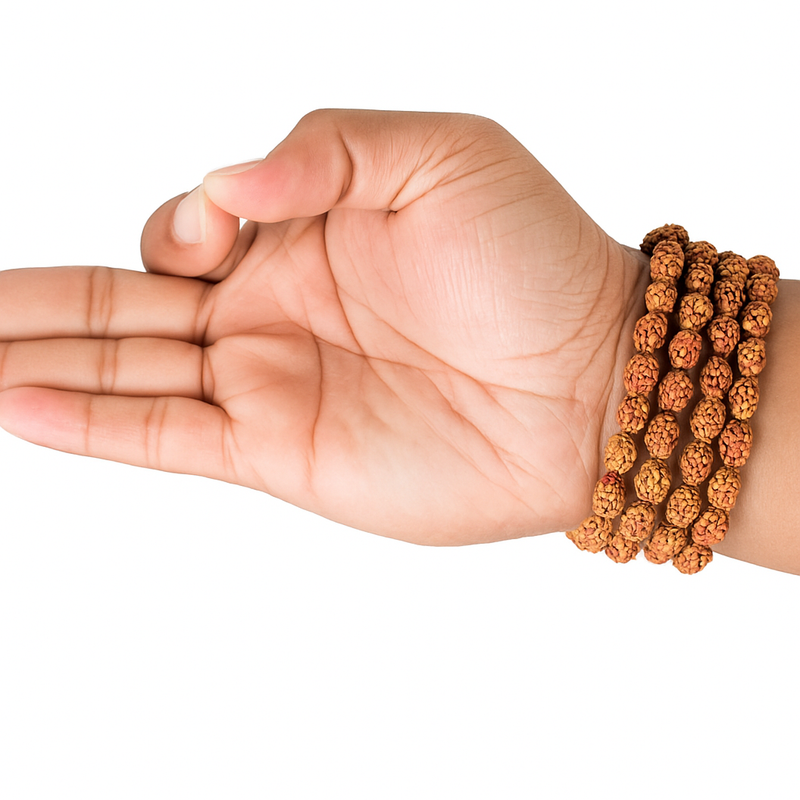 2 Mukhi Japa Rudraksha Mala