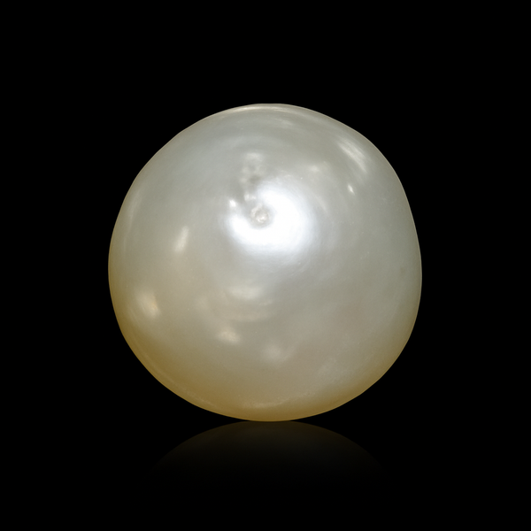 South Sea Pearl - 3.92 Carats