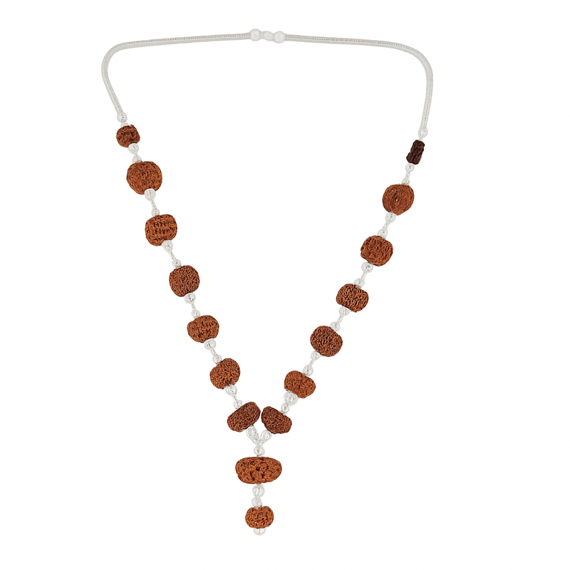 1-14 Mukhi Rudraksha Mala (Siddha Mala) with 1 Mukhi Sawar Rudraksha