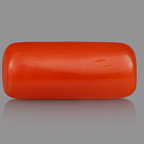 Red Coral - 3.51 Carats
