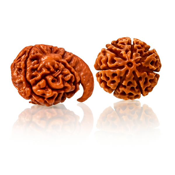 Natural Ganesh Laxmi Rudraksha Samriddhi Kit