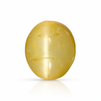 Cats Eye Quartz - 5.4 Carats