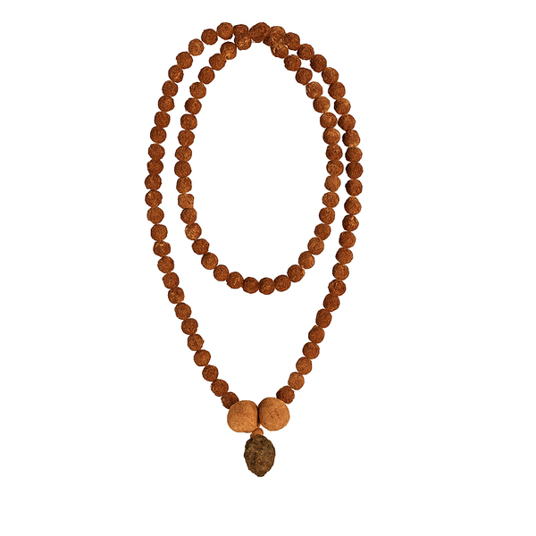Swasth Vriddhi Mala - 7 Mukhi and 2 Mukhi Rudraksha