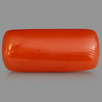 Red Coral - 3.59 Carats