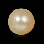 South Sea Pearl - 6.23 Carats