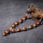 1-14 Mukhi Rudraksha Mala (Siddha Mala)