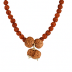 Prem Vriddhi Mala - 6 Mukhi, 7 Mukhi and Gauri Shankar Rudraksha (AB)