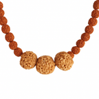 Vidya Vriddhi Mala - 4 Mukhi and 5 Mukhi Rudraksha