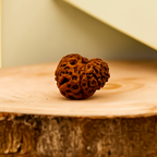 Natural 8 Mukhi Rudraksha (Indo)