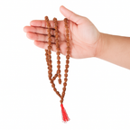 3 Mukhi Japa Rudraksha Mala