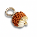 Natural 10 Mukhi Rudraksha (Indo)