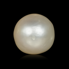South Sea Pearl - 3.1 Carats