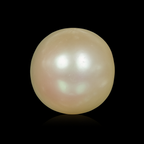 South Sea Pearl - 6.23 Carats