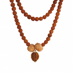 Swasth Vriddhi Mala - 7 Mukhi and 2 Mukhi Rudraksha