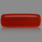 Red Coral - 4.84 Carats