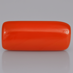 Red Coral - 3.51 Carats