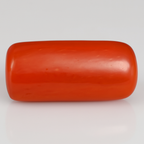 Red Coral - 3.59 Carats