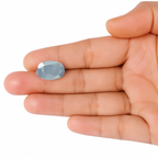 Blue Sapphire - 8.55 Carats